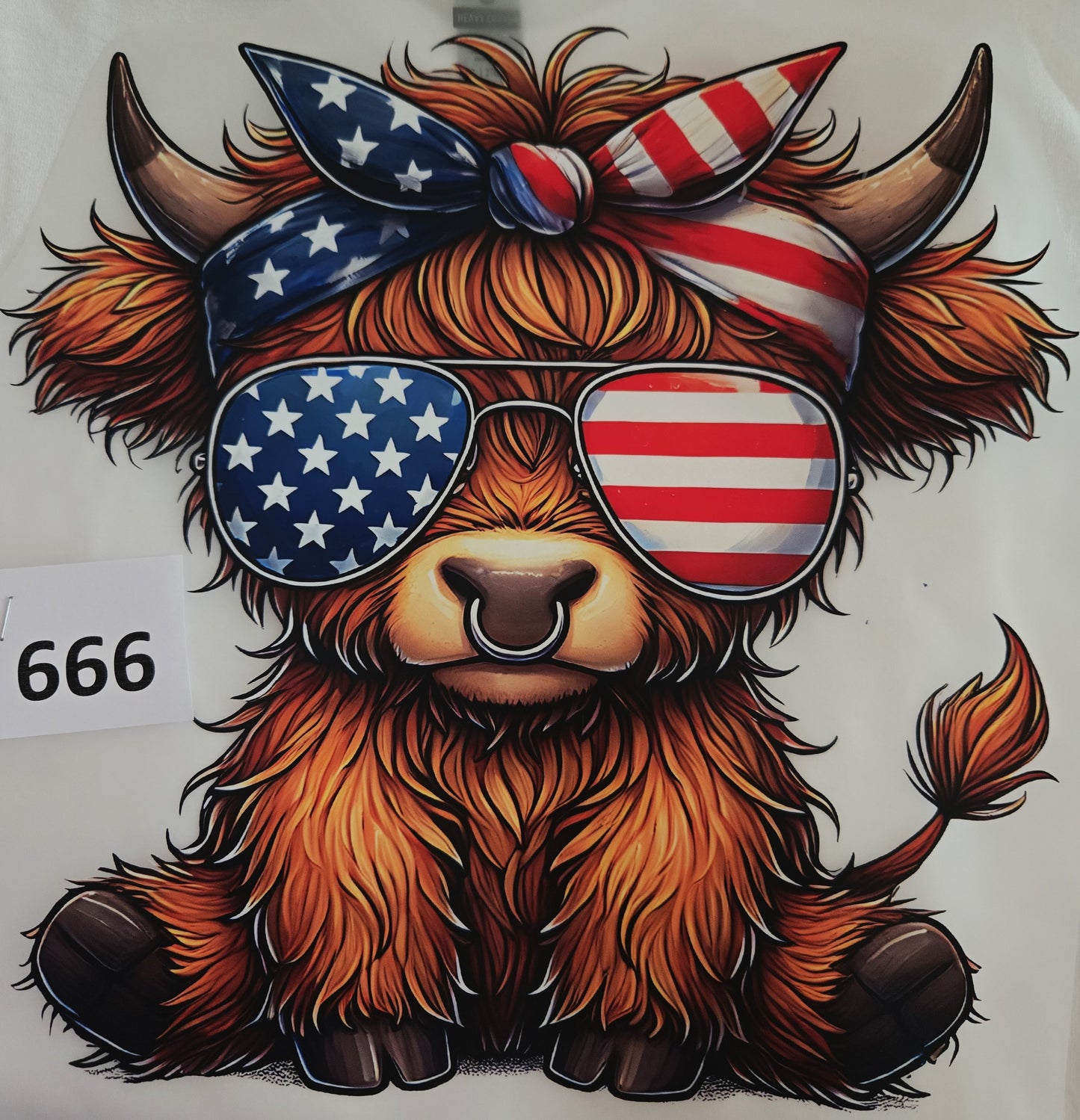4th of July T-shirt