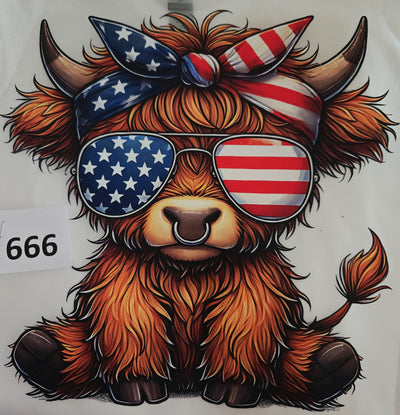 4th of July T-shirt