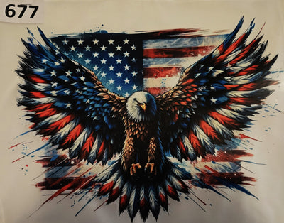4th of July T-shirt