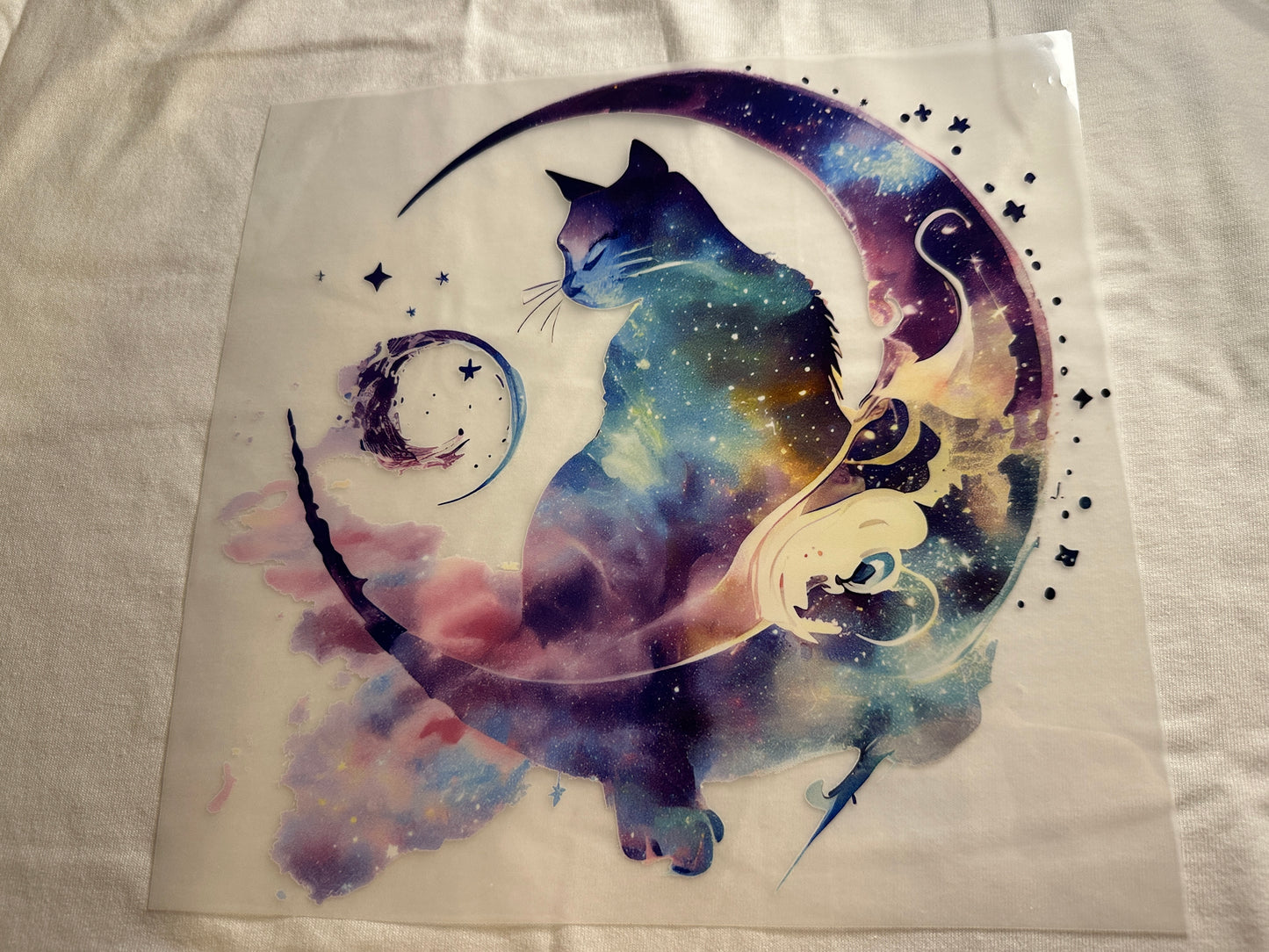 Cat t-shirts